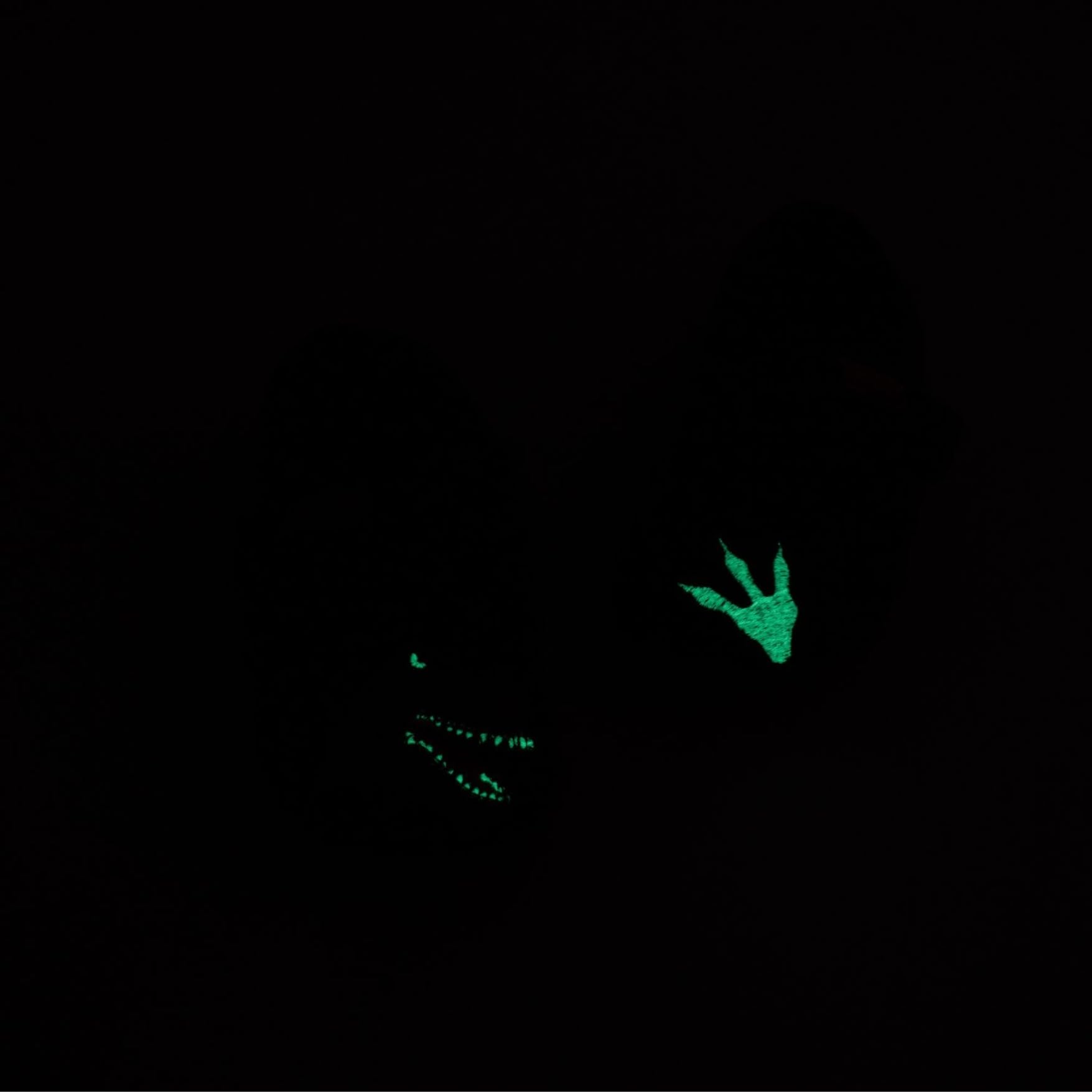 living-kitzb-hel-t-rex-kinder-slipper-dino-motiv image 5