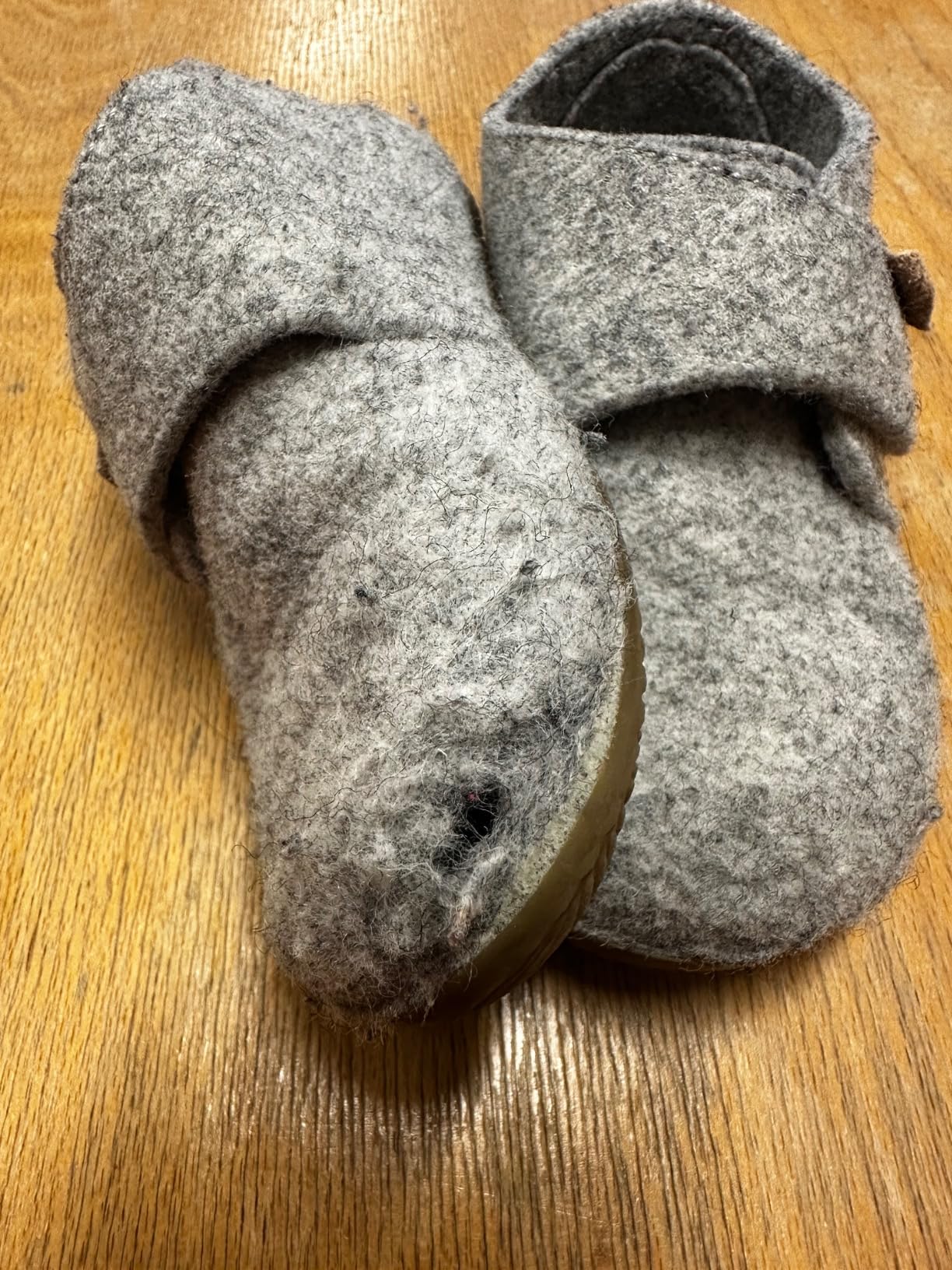 Süße Krabbelschuhe